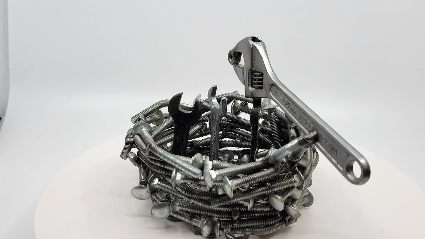 Bird's Nest Feeding Time