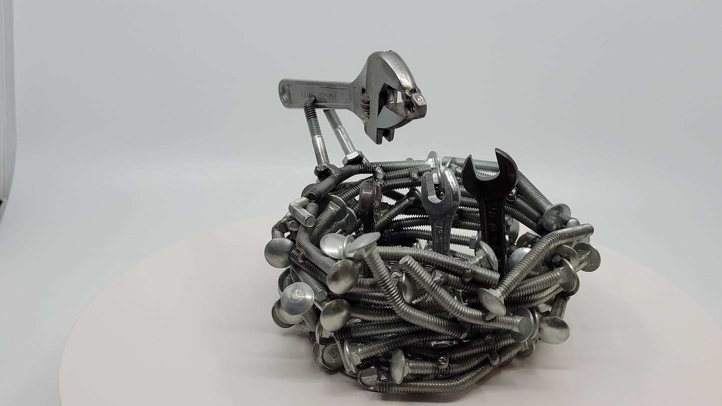 Bird's Nest Feeding Time