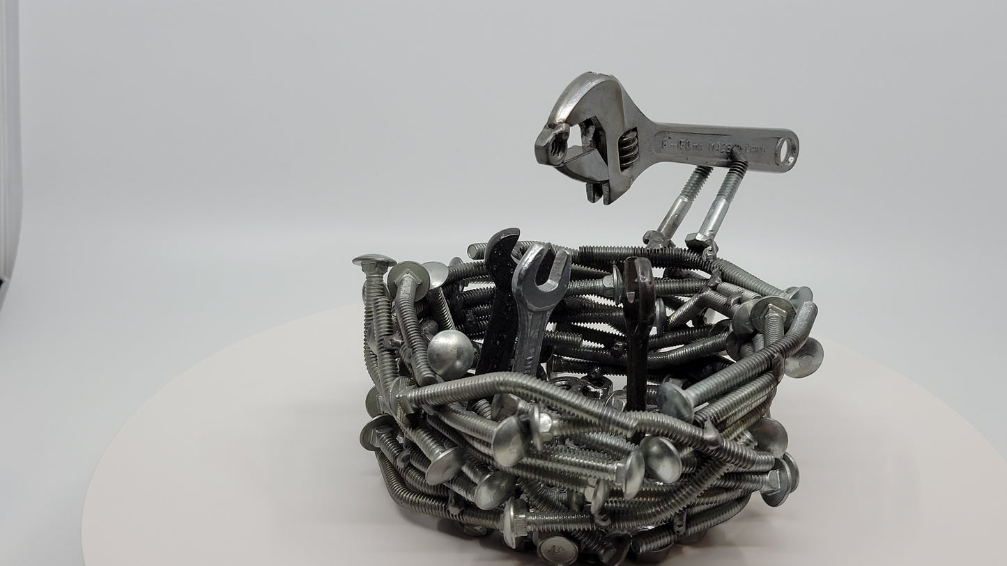 Bird's Nest Feeding Time