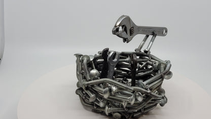 Bird's Nest Feeding Time