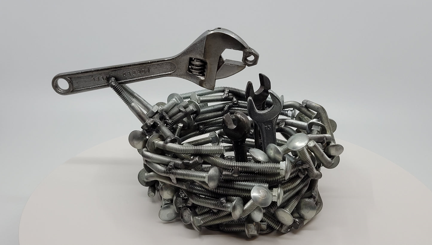 Bird's Nest Feeding Time