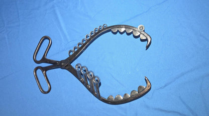 Ice Tong Ice Tong Paranoid Piranha with Wrench Fins