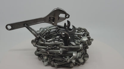 Bird's Nest Feeding Time